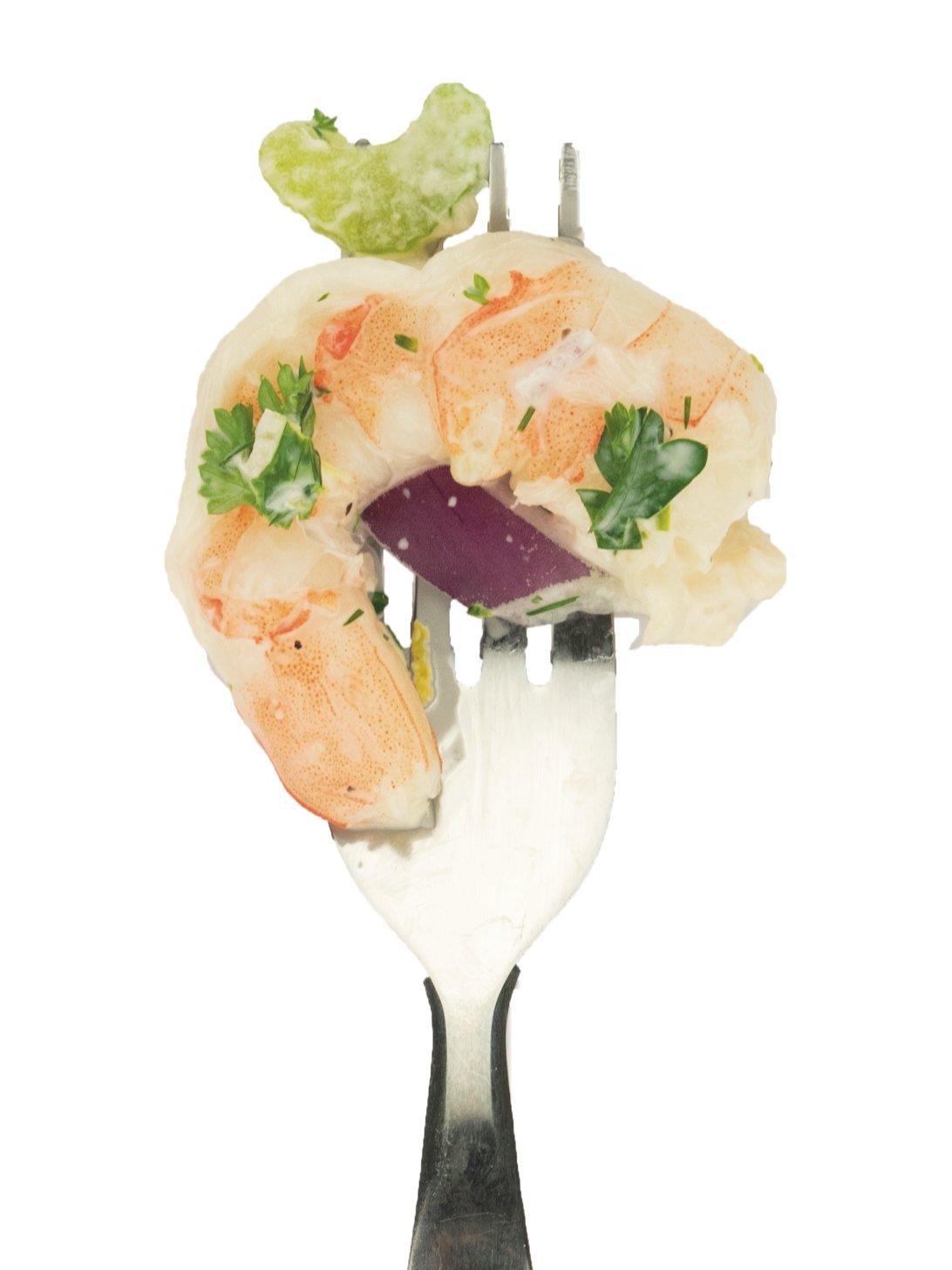 Yogurt Dill Shrimp Salad: herbed salad with red onions and celery.